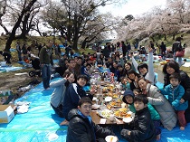 Ｈ26.4.6hanami.jpg
