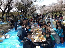 Ｈ26.4.6hanami.jpg