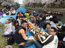 H28.4.3ohanami1.jpg