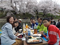 H28.4.3ohanami2.jpg