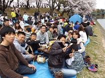 H28.4.3ohanami3.jpg