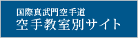 国際真真武門空手道 別サイト