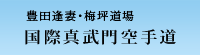 国際真真武門空手道 豊田逢妻道場・梅坪道場